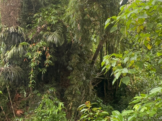 Kaveri Spa at The Udaya-乌布必去景点