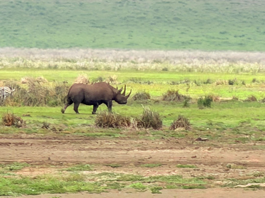 Zara Tanzania Adventures-莫西必去景点