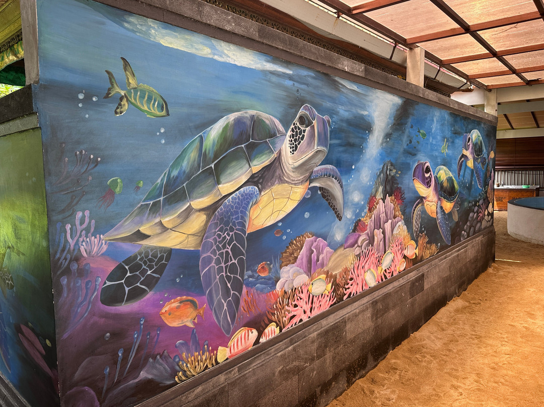 Sea Turtle Village-沙努尔必去景点