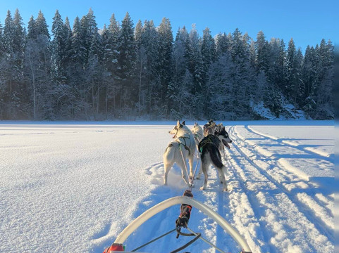 Arctic Expedition-埃斯波必去景点
