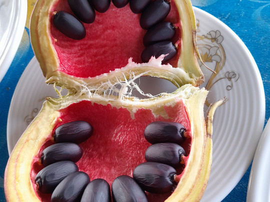 Bangladesh Eco Adventure-达卡市必去景点