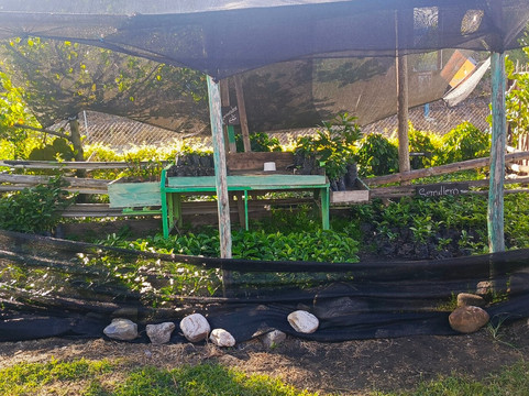 Vilcaroma Coffee-Vilcabamba必去景点