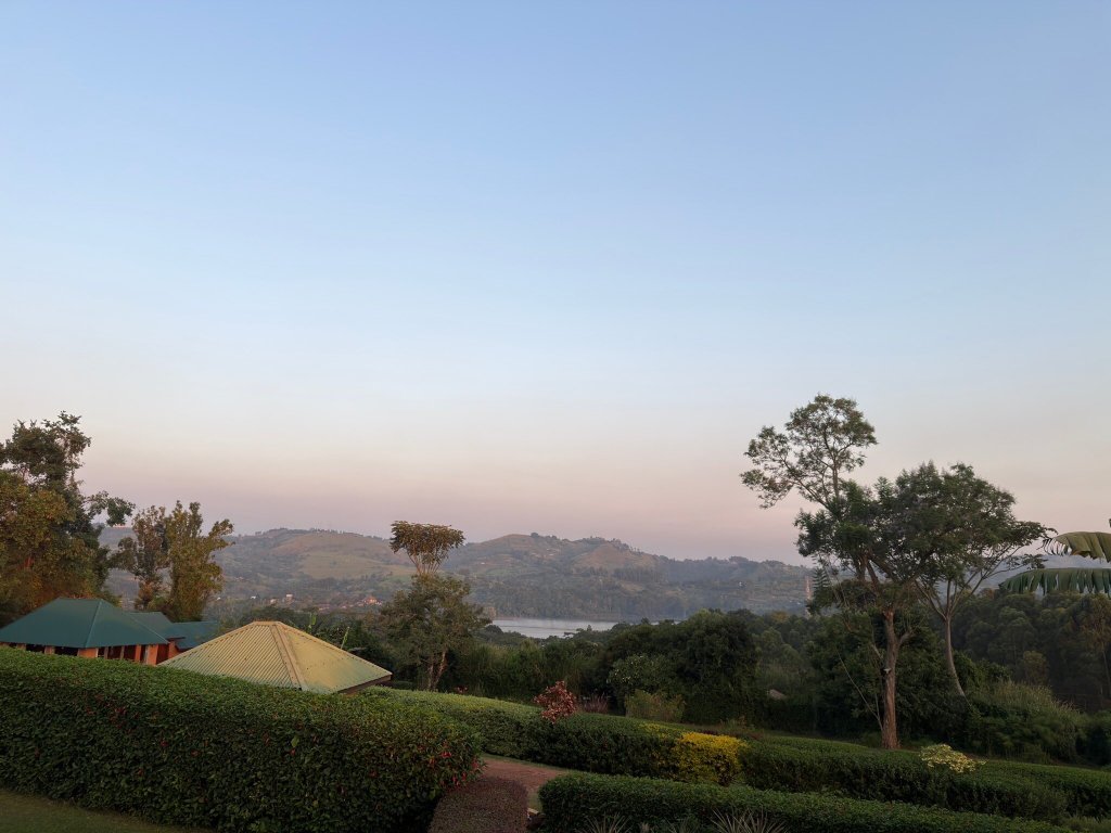 Chimpanzee Forest Lodge.-官方