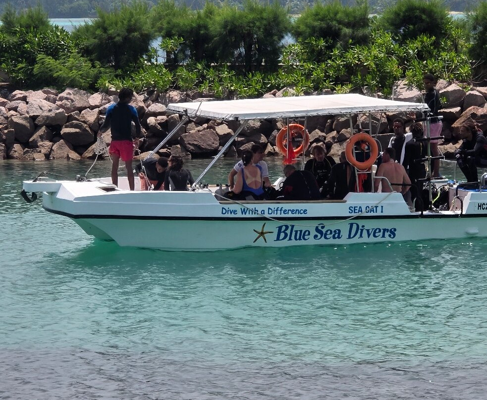 Blue Sea Divers Sainte-Anne-Sainte Anne Island必去景点