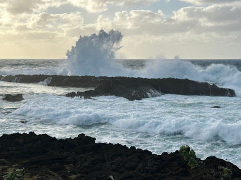 Shark's Cove-哈雷瓦必去景点