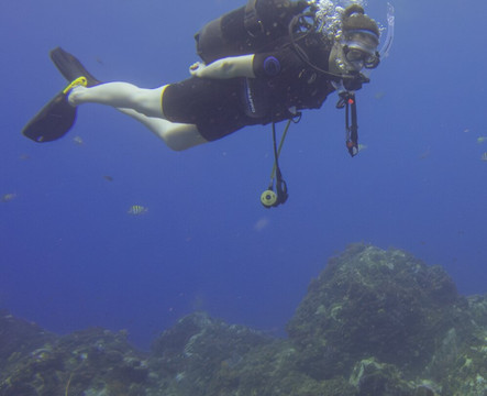 Deep Turtle Plongee-Les Anses d'Arlet必去景点