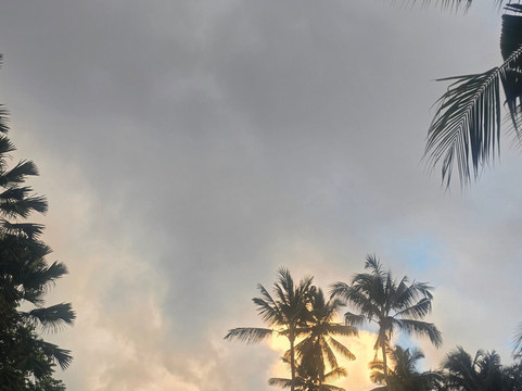 Bali SUN Tours-乌布必去景点