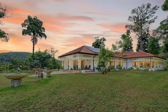 The Tusker's Hideout