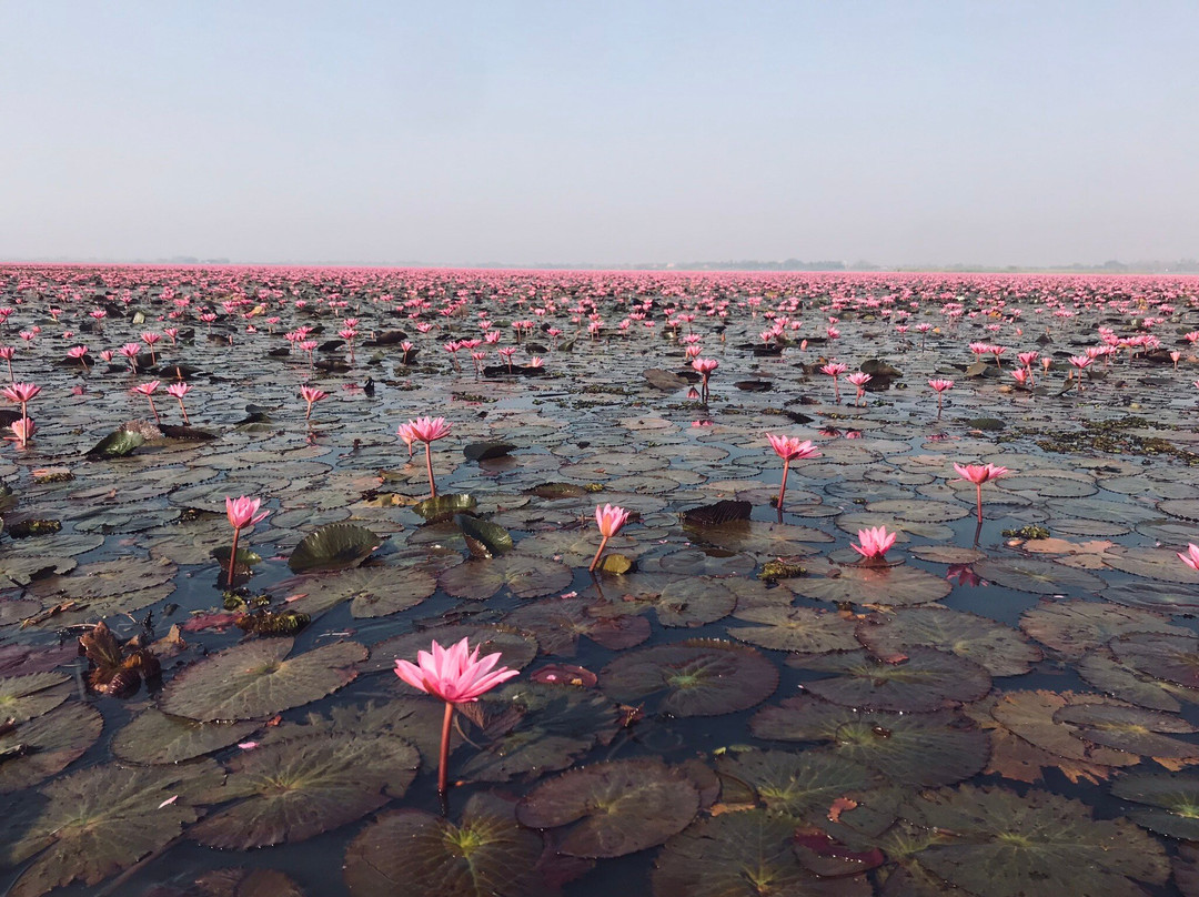 红莲湖-Chiang Haeo必去景点