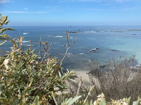 Mushroom Reef Marine Sanctuary-弗林德斯必去景点