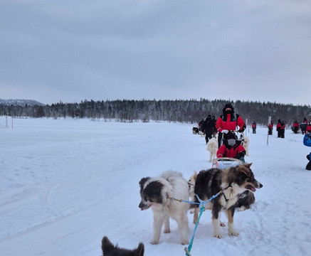 Primitif Aventure-伊瓦洛必去景点