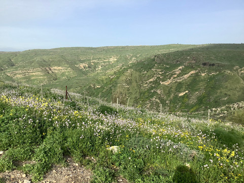 Susita (Hippos) Nature Reserve and National Park-Ein Gev必去景点