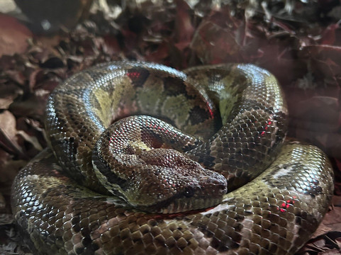 Croc Farm-安塔那那利佛必去景点