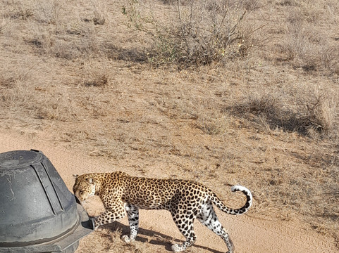 Rhino Africa Safaris-开普敦中心区必去景点