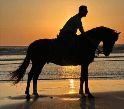 Essaouira Activités-索维拉必去景点