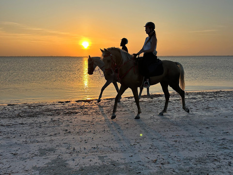 Royal Stable Zanzibar-米查维必去景点