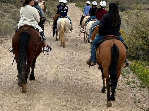 KOLI Equestrian Center-钱德勒必去景点
