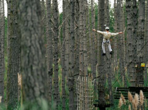Tree Adventures-伍德山必去景点