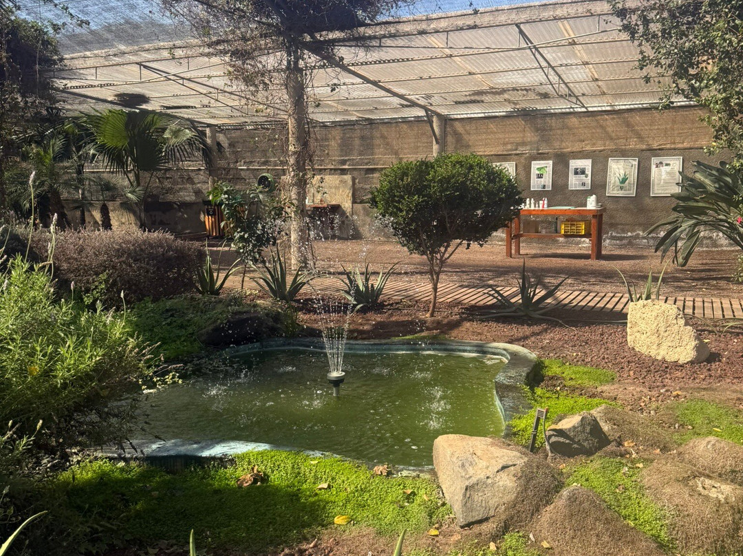 Finca Canarias Aloe Vera-阿罗纳必去景点