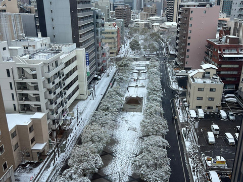 京成米拉玛丽酒店主图