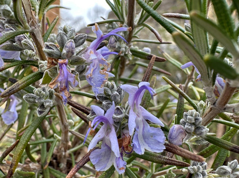 St. Jovan Kaneo-奥赫里德必去景点