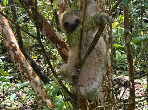 Allan Adventures-La Cruz必去景点