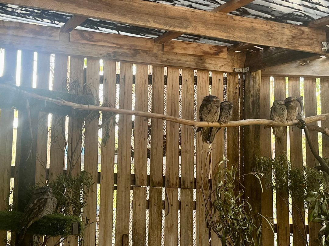 Raptor Refuge-Kettering必去景点