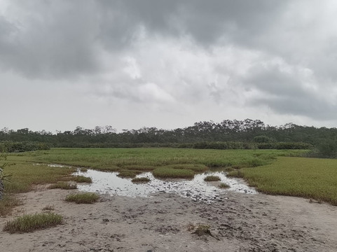 Parc National Des Iles Ehotilé-阿西尼必去景点