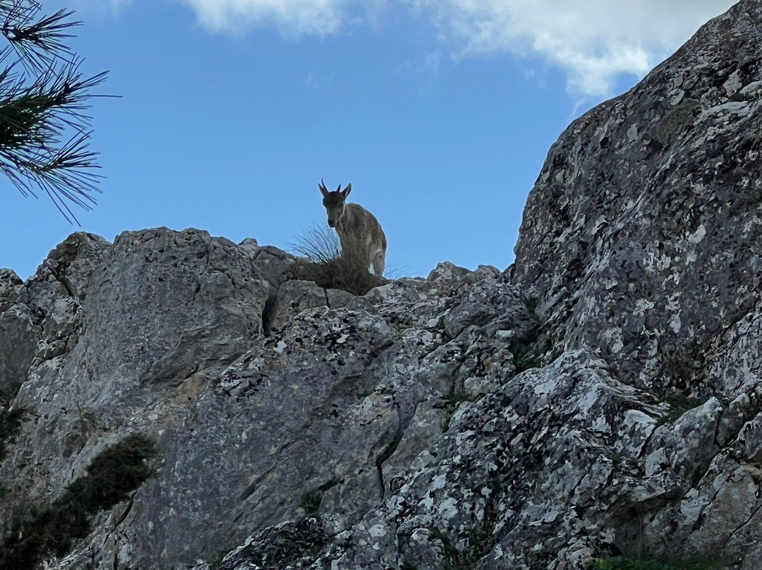 Castillo de Santa Catalina-哈恩必去景点