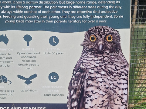 Capes Raptor Centre-玛格丽特河必去景点