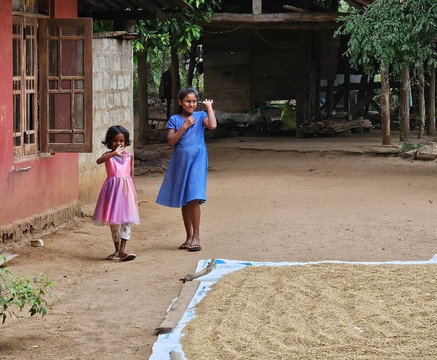 Holiday Travel Lanka-Wattala必去景点