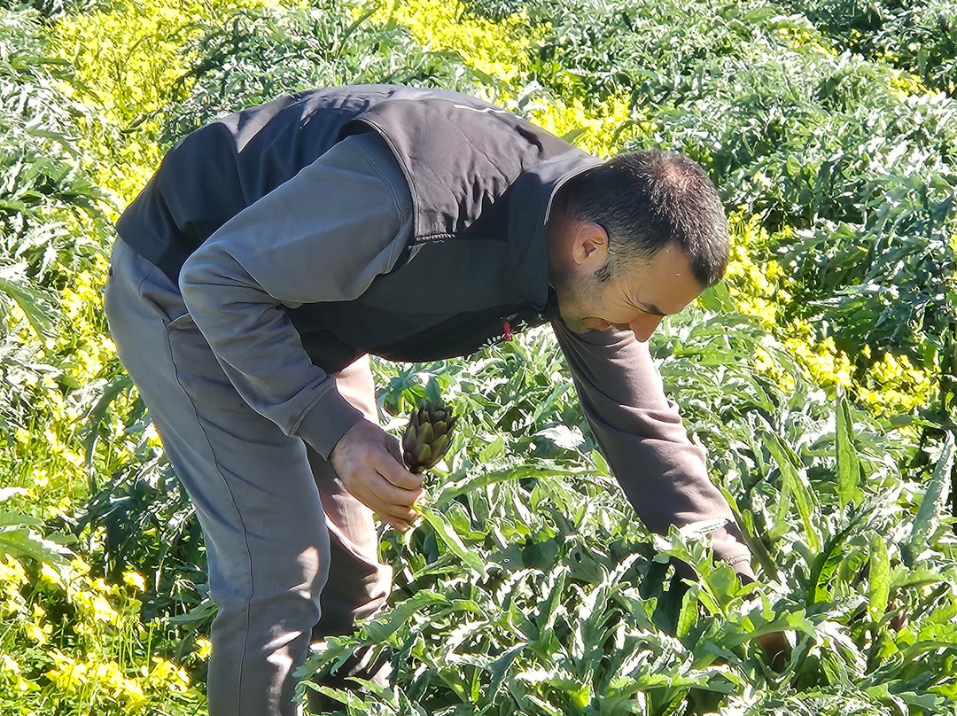 Azienda Agricola Pietrasanta-Carovigno必去景点