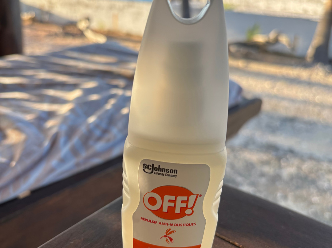 Pension Cecile主图