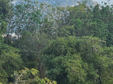 威萨卡艾美西斯特酒店主图