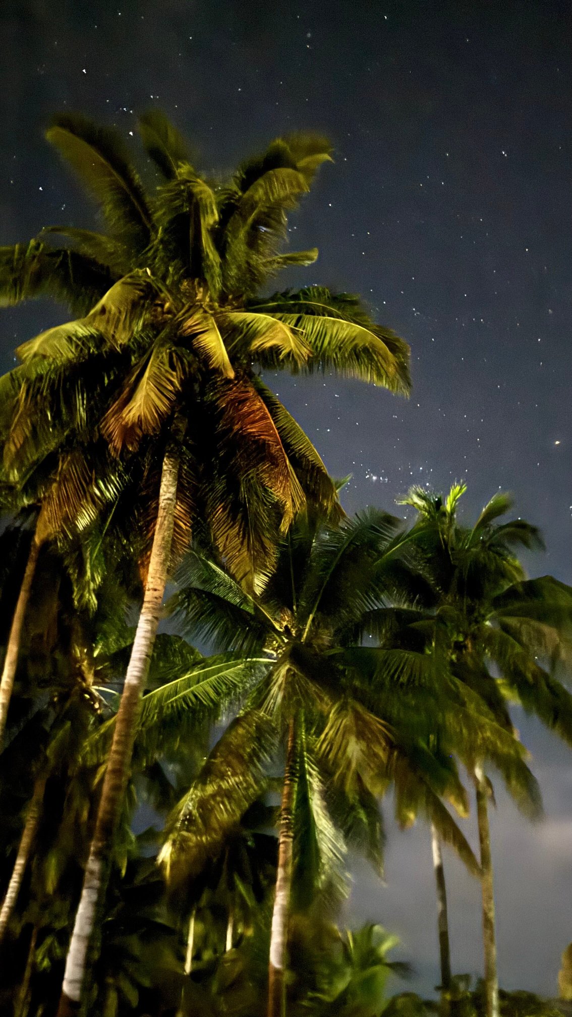 独木舟酒店-浴室