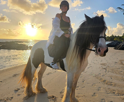 Legasea Stables Mauritius-Quatre Cocos必去景点