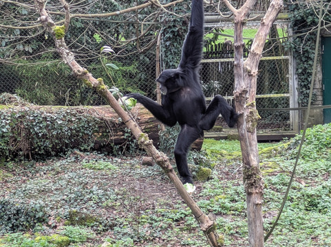 Marwell Zoo-温彻斯特必去景点