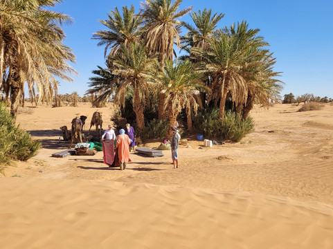 Voyage Désert Maroc-迈哈米德必去景点