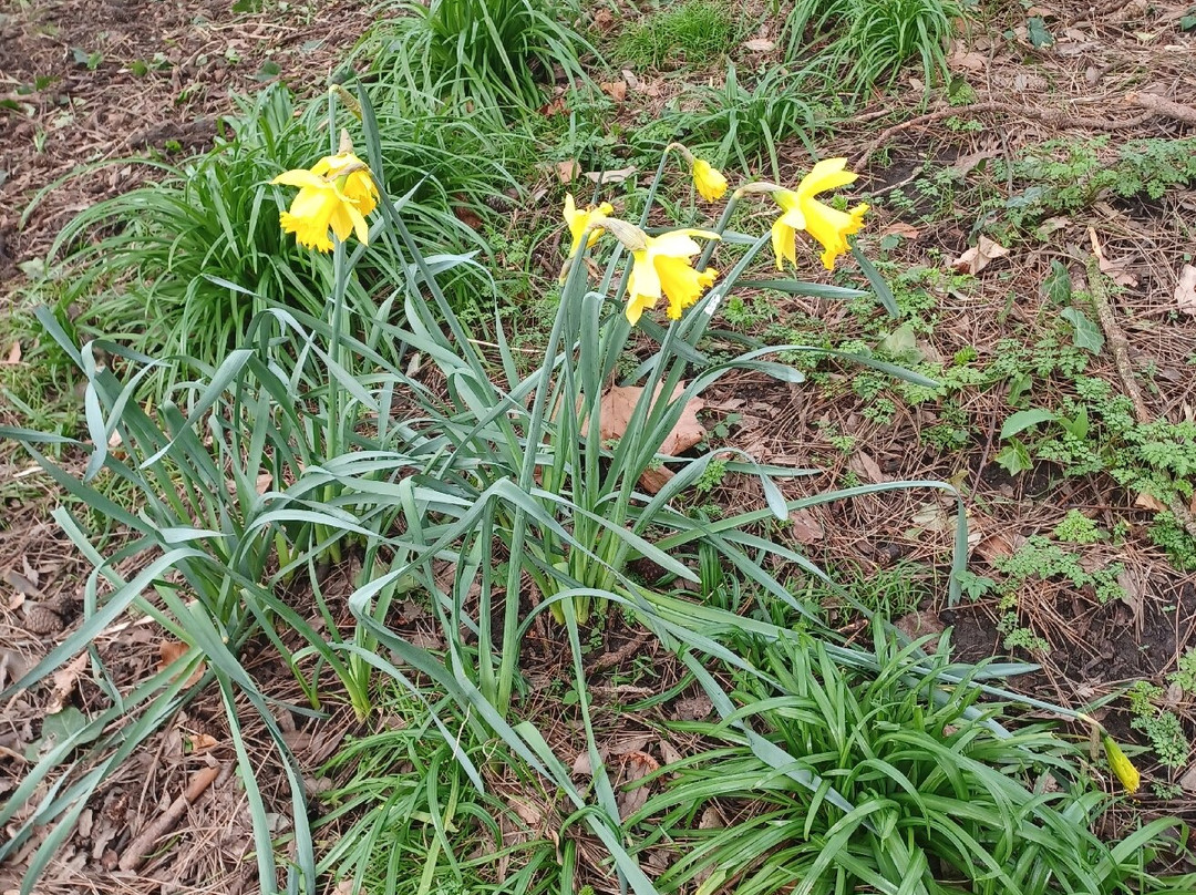 Lowther Gardens-Lytham St Anne's必去景点