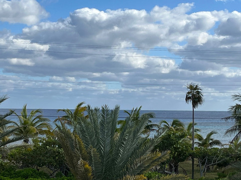 Le Soleil d'Or主图