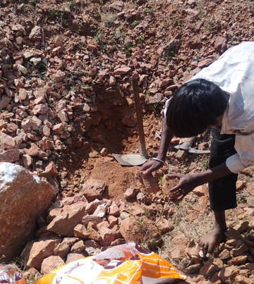 Animal Aid Unlimited-乌代布尔必去景点