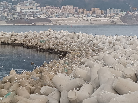 Songdo Skywalk-釜山必去景点