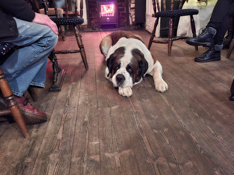 The Broomfield Tavern-考文垂必去景点