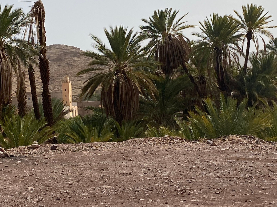 Reves Du Desert A Foum Zguid-Foum Zguid必去景点