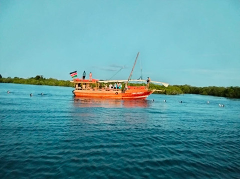 Nomadic Sails-Wasini Island必去景点