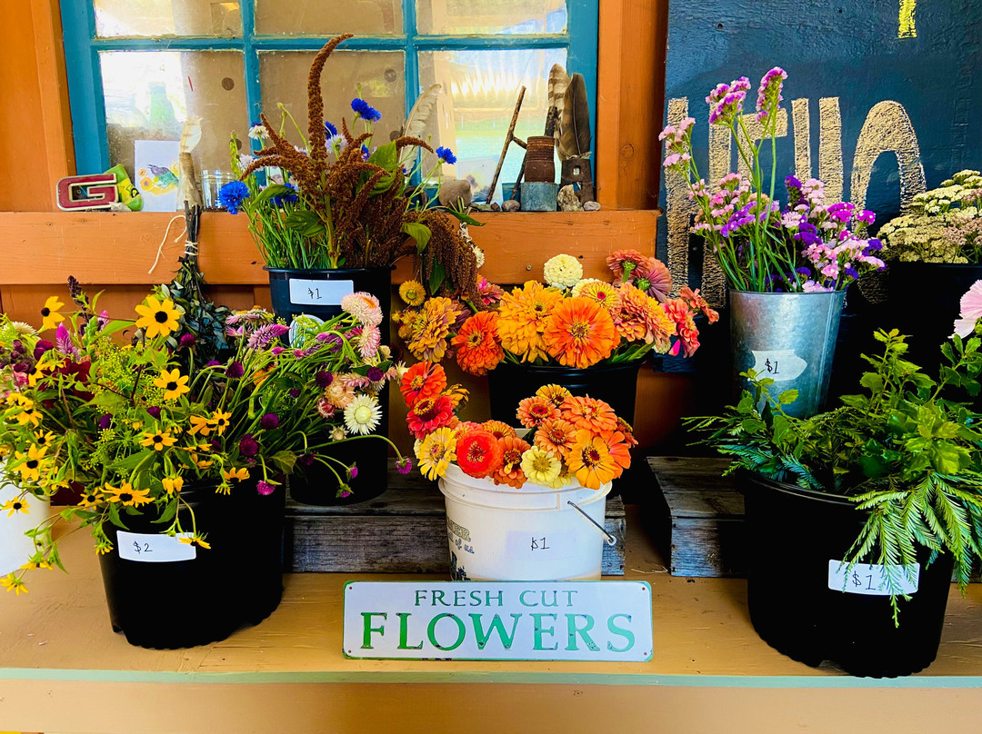 Suncatcher Farmstand