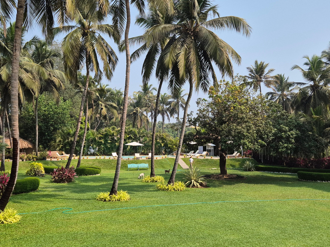 Silva Heritage-奔闹林必去景点