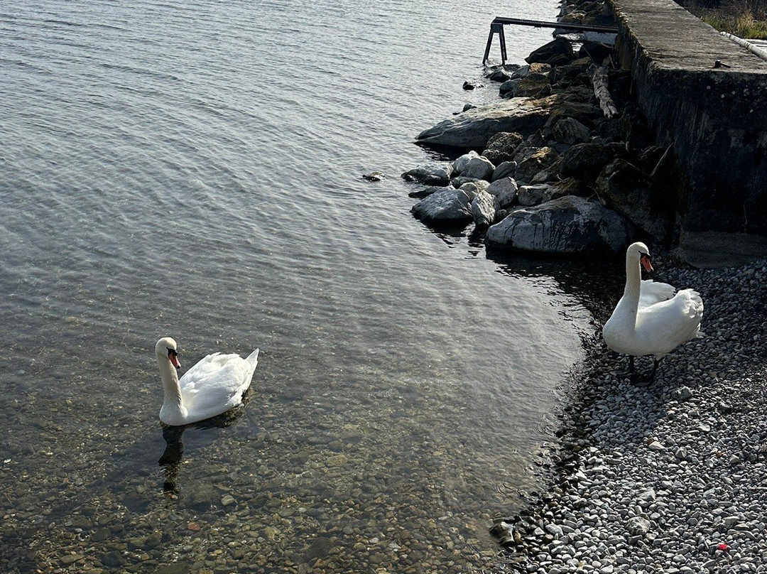 乐莱蒙酒店主图