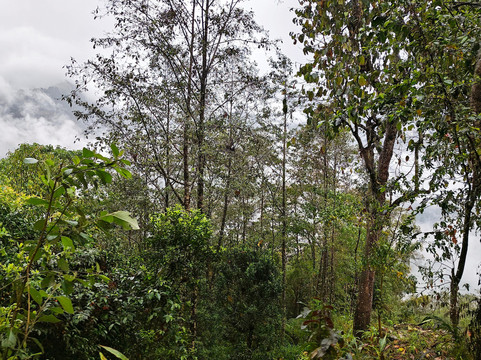 曼甘蒙洛姆自然度假村主图