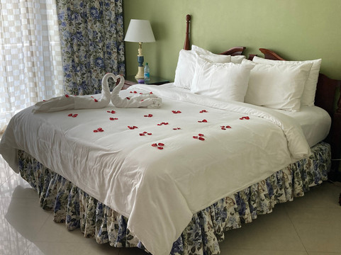 巴哈马清风水疗全包度假村-限成人主图